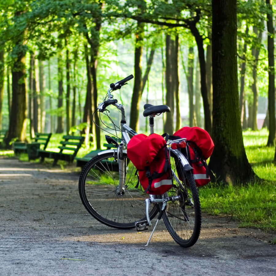 Wycieczki rowerowe po okolicy